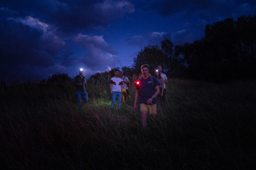 A group of young people walking towards the camera in a dark, moody field and a clouded sky.