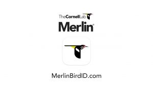 The icon of a colorful bird on white background - containing the headline "The Cornell Lab - Merlin Bird ID.com".