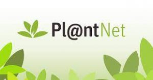 Icons of plants next to the word "Pl@ntNet".