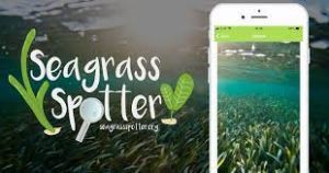 A smartphone showing a photo of an underwater meadow - next to the slogan "Seagrass Spotter".