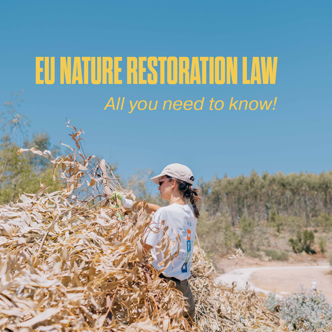 A young woman in the sunshine holding a dry branch - above her the headline "EU Nature Restoration Law. All you need to know!".