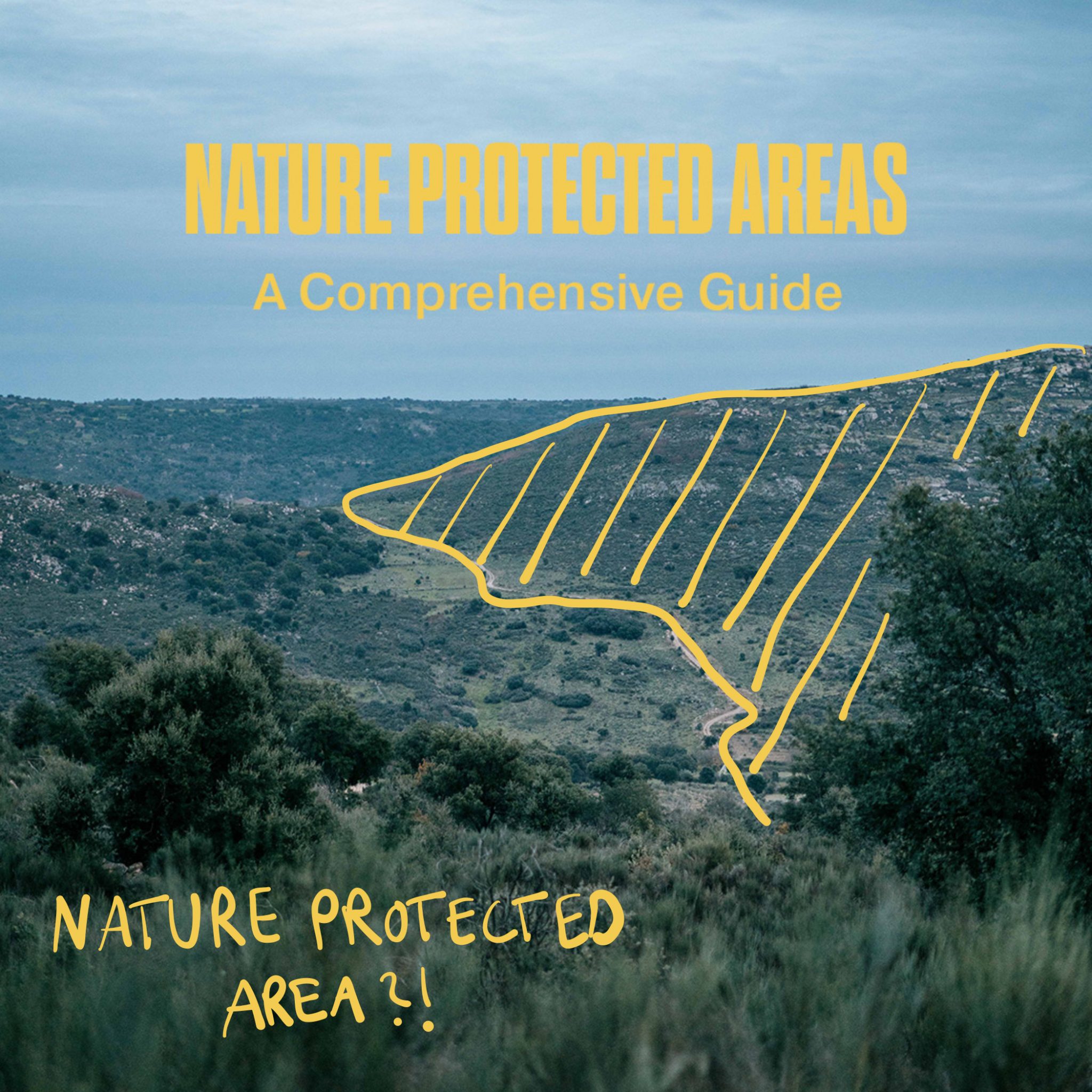 A panoramic shot of a landscape with a drawing and the headline "Nature Protected Areas. A Comprehensive Guide".