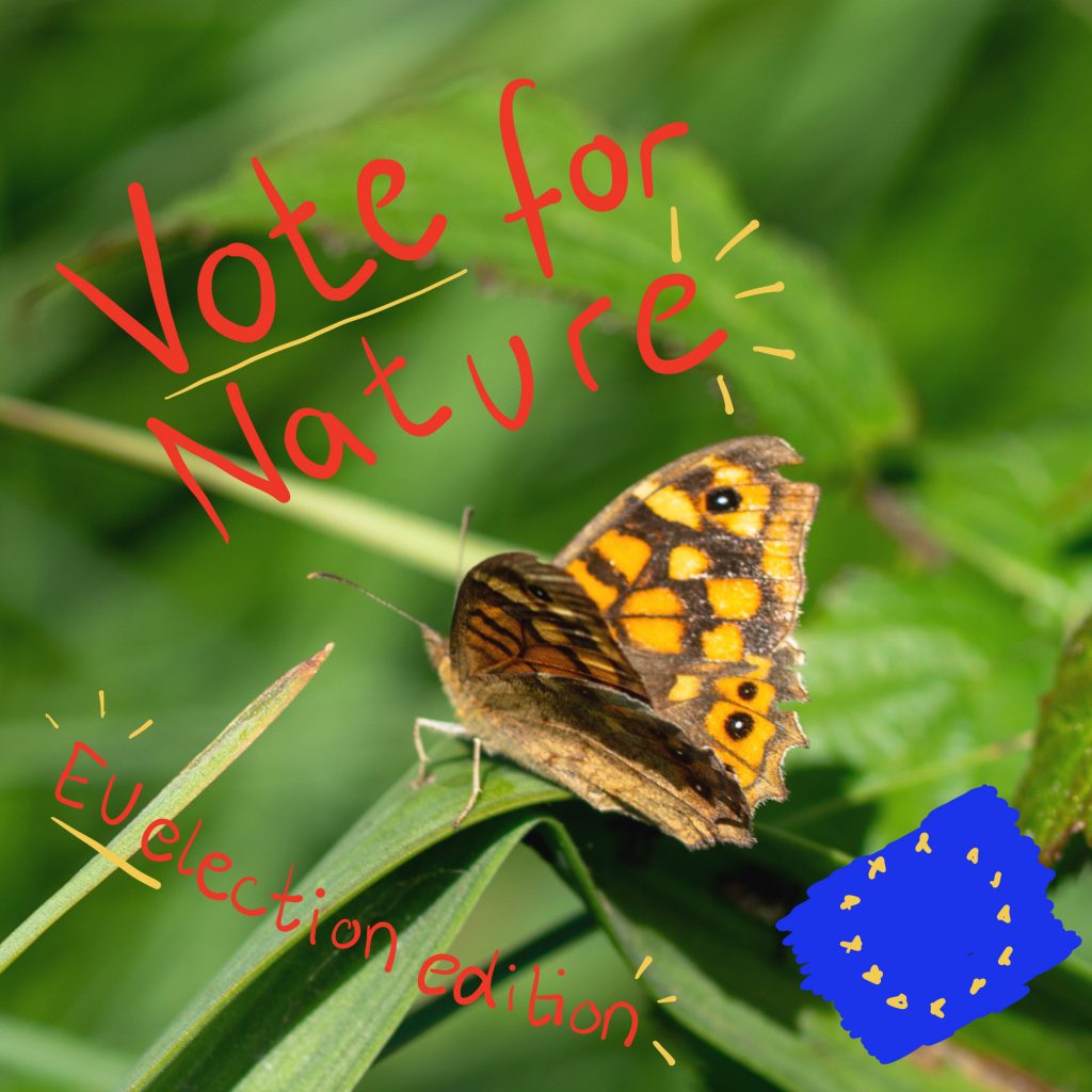 Image showing a close up of a butterfly in the grass. Next to it the text vote for nature EU election edition and a small drawing of the EU flag
