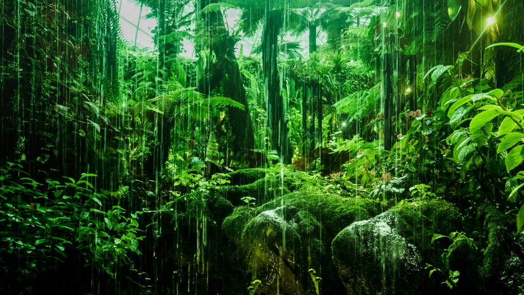 nature ai trees in rainforest
