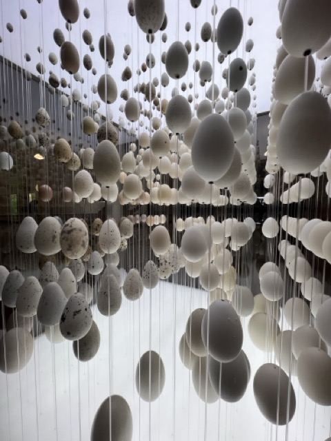 instalation about diversity at the biodiversity galery in porto