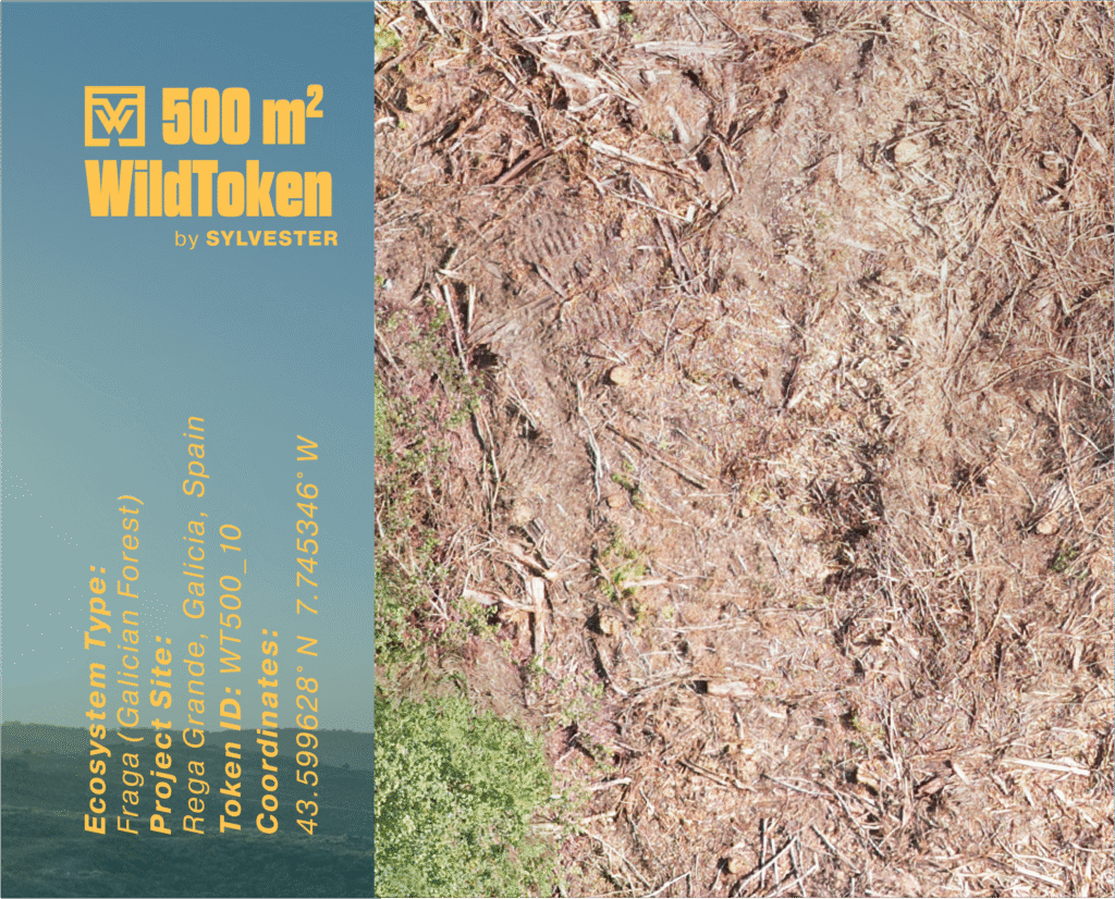 500m2 WildToken