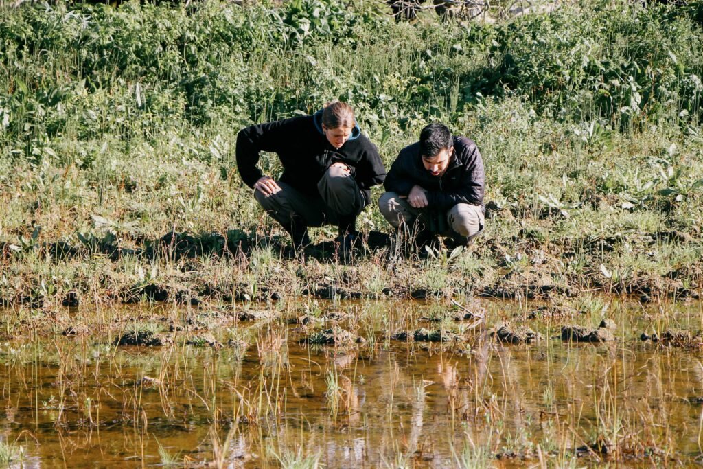two people looking for small animals in a pond