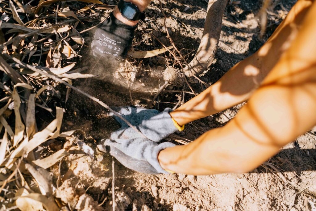 hands digging in dirt