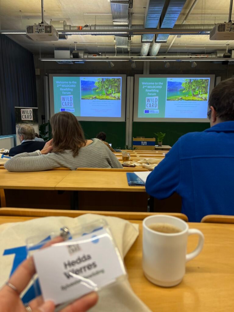 Wildcard Rewilding Conference 2026