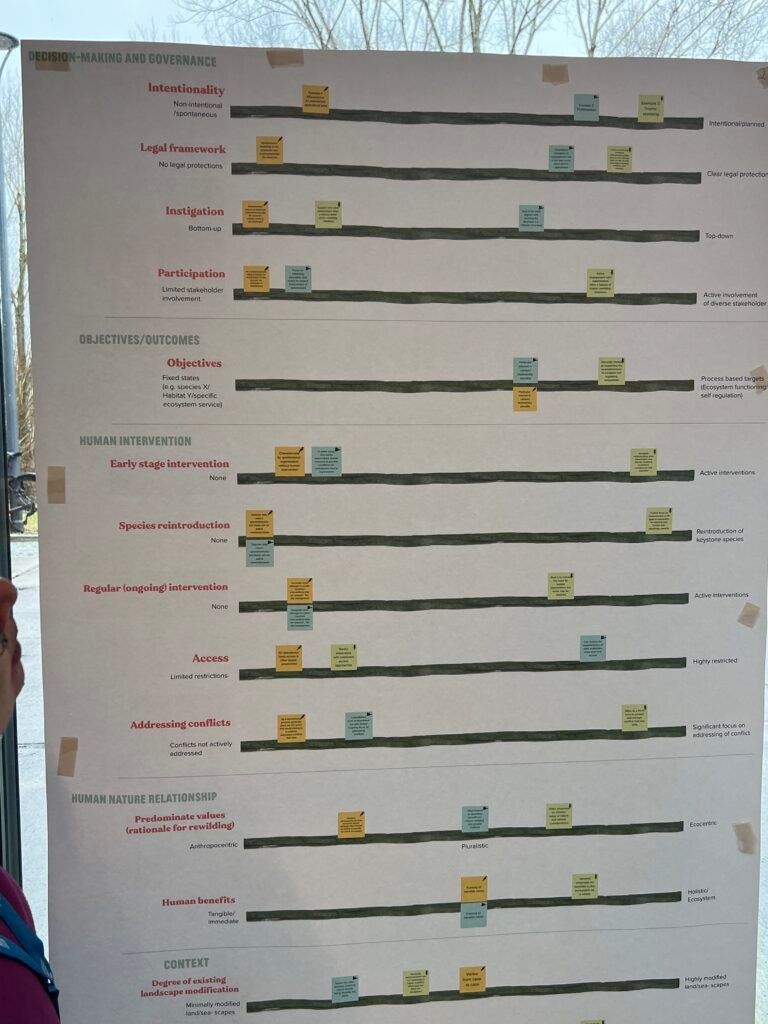 how to measure rewilding scale