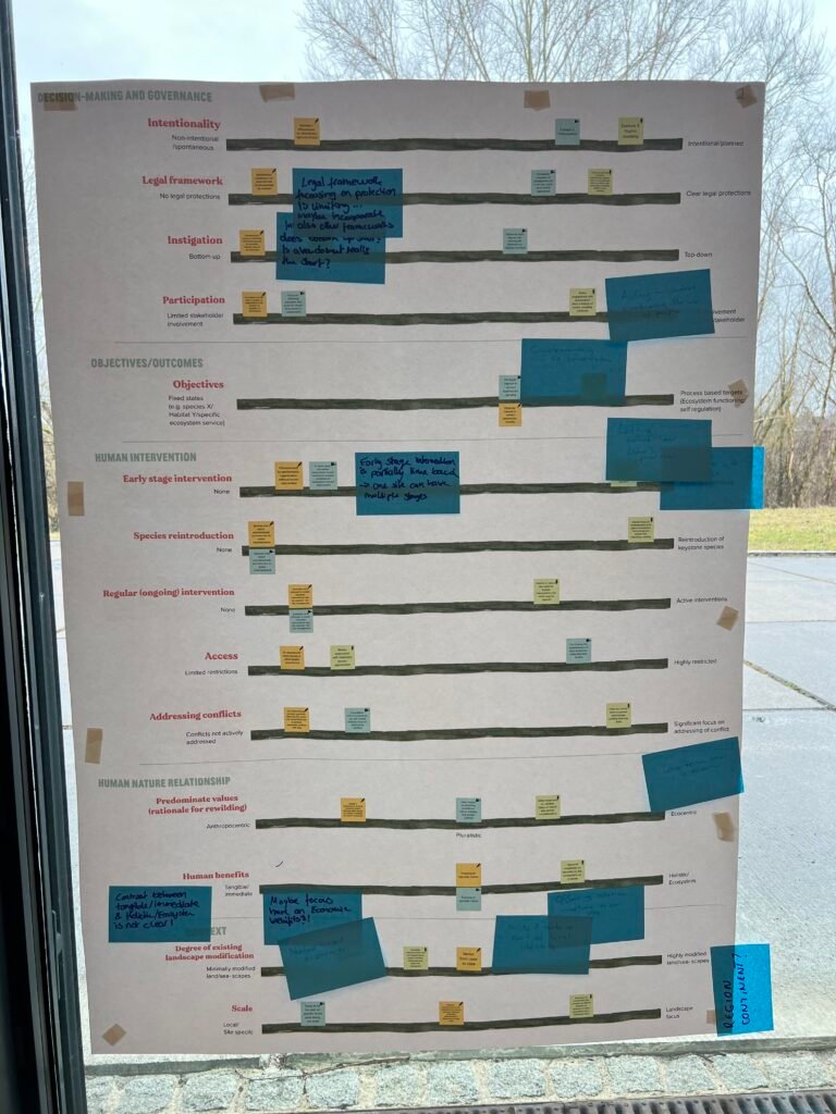 how to measure rewilding scale adjusted