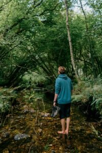 person staning in forest looking at trees