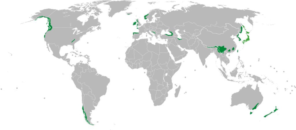 map of fragas atlanticas