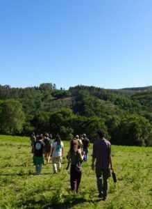 crowd of people walking through nature