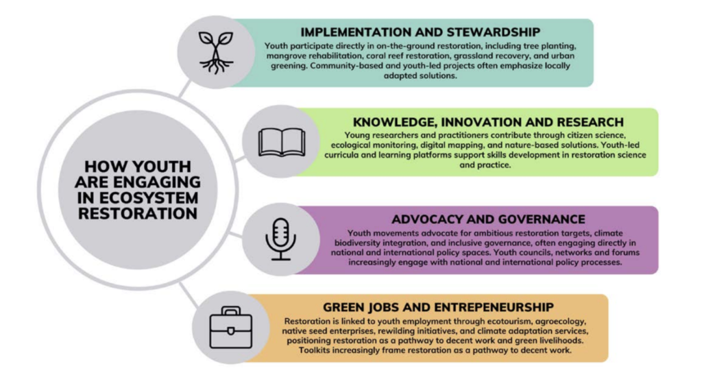 Pathways for youth engagement in ecosystem restoration