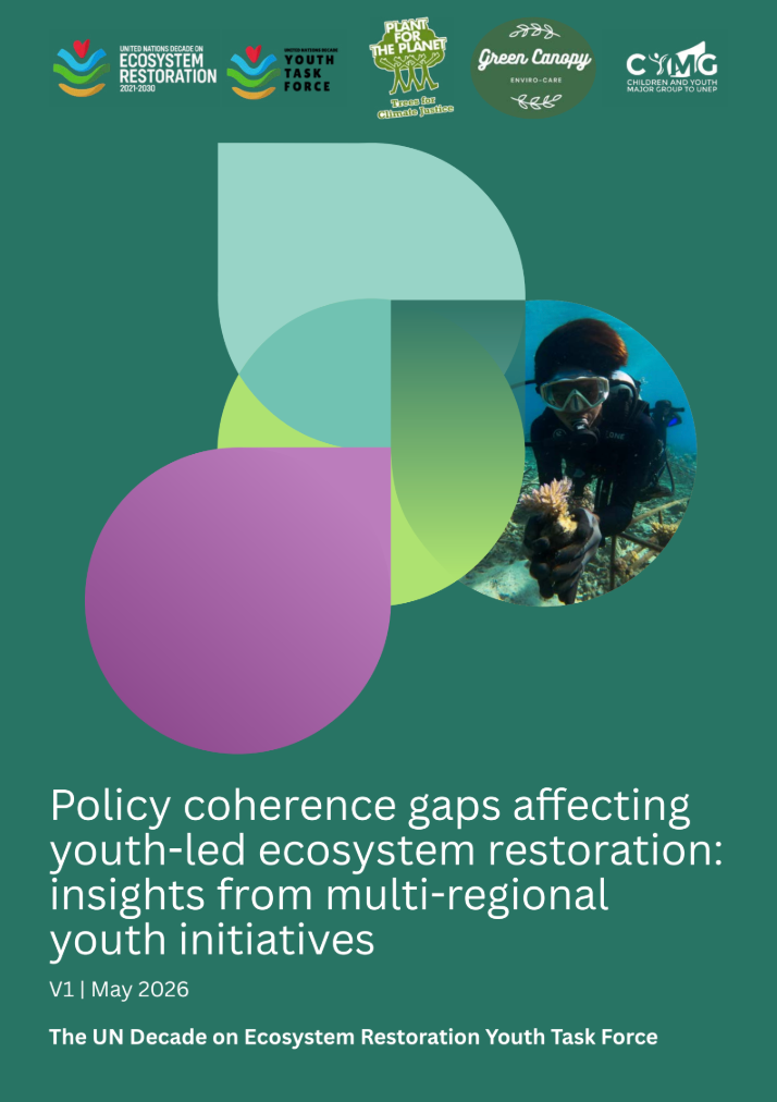 UN youth in restoration policy report