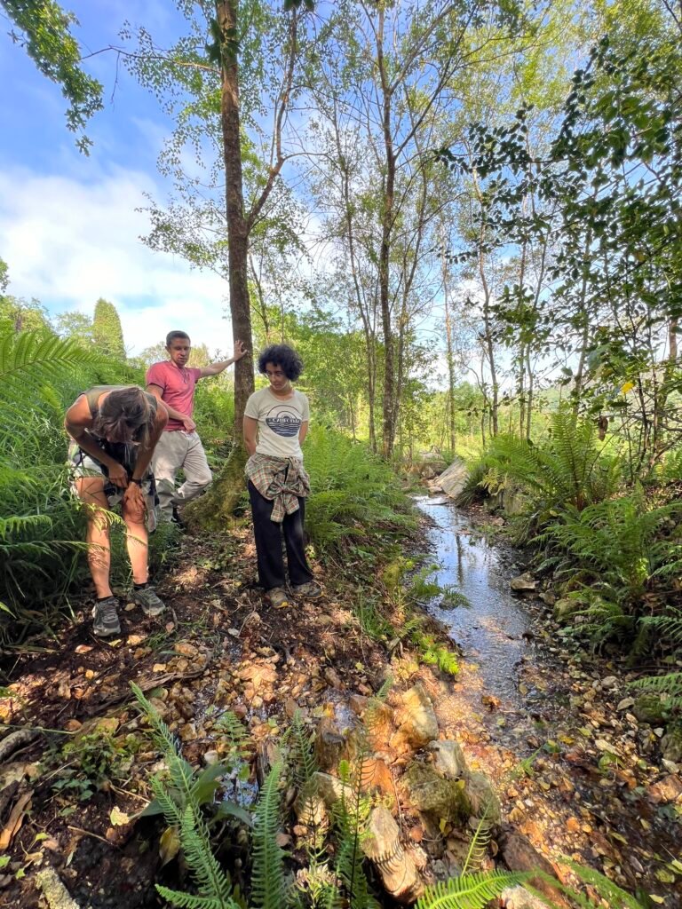 Sylvester team doing fieldwork