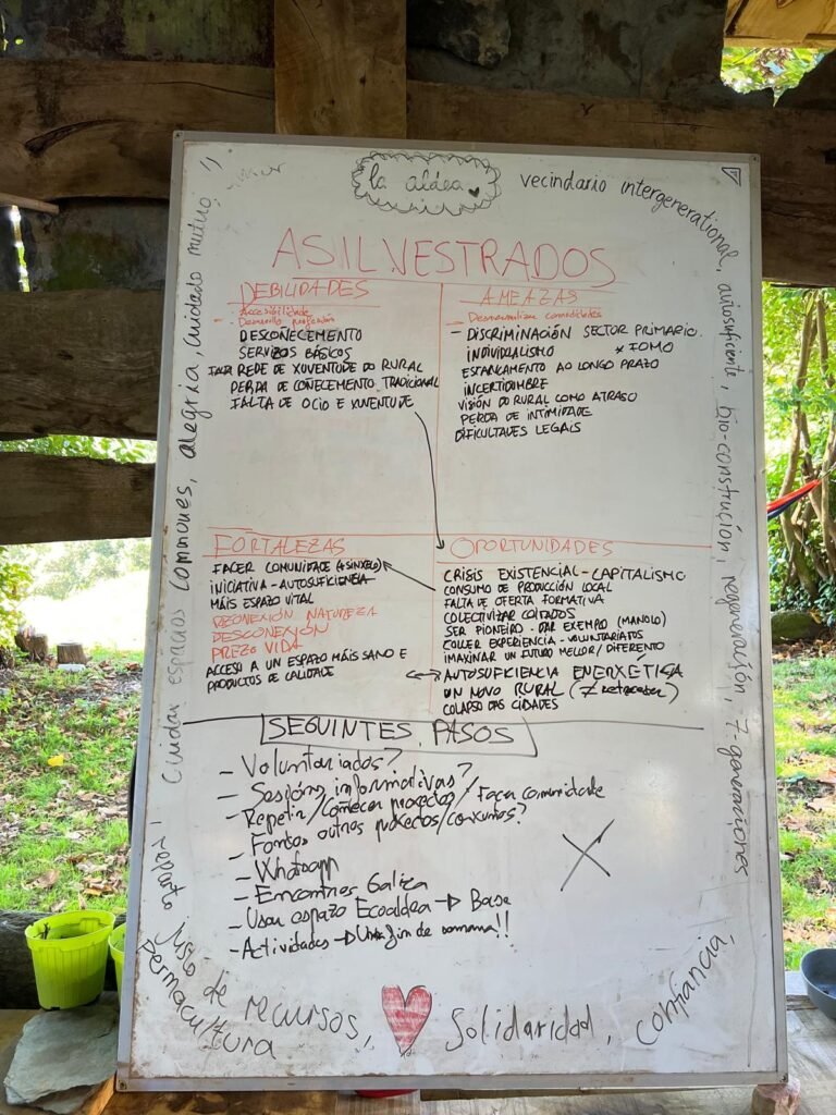 Asilvestrados Brainstorming